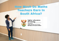 How Much Do Maths Teachers Earn In South Africa? 